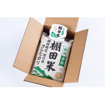 ふるさと納税 村上市 【毎月定期便】新潟県岩船産【棚田米】コシヒカリ玄米10kg+ パックごはん(150g×1個)　全4回 |  | 01