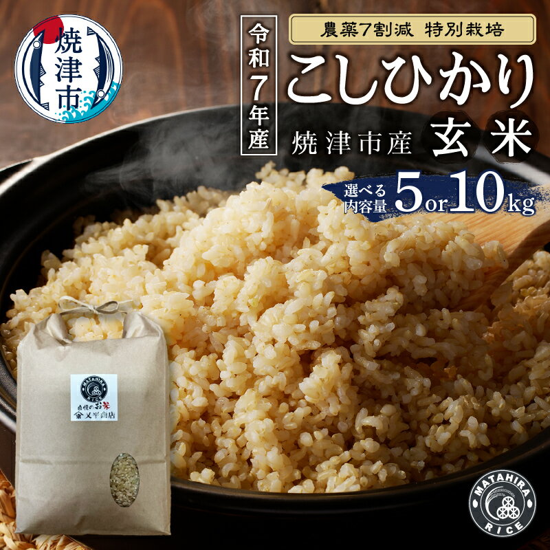【ふるさと納税】 【選べる内容量】 米 令和7年産 玄米 コシヒカリ 5kg 10kg（5kg×2袋） 農薬7割減 特別栽培 安心 安全 ごはん 焼津 a15-696 a30-317
