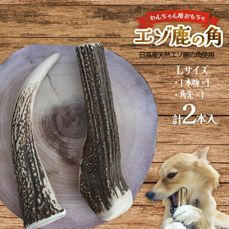 【ふるさと納税】エゾ鹿の角　Lサイズ1本物と角先のセット[54-1574] 北海道 浦河 ふるさと納税 鹿の角 鹿 天然 犬用 わんちゃん おもちゃ 玩具 デンタルケア 大型犬 Lサイズ 送料無料