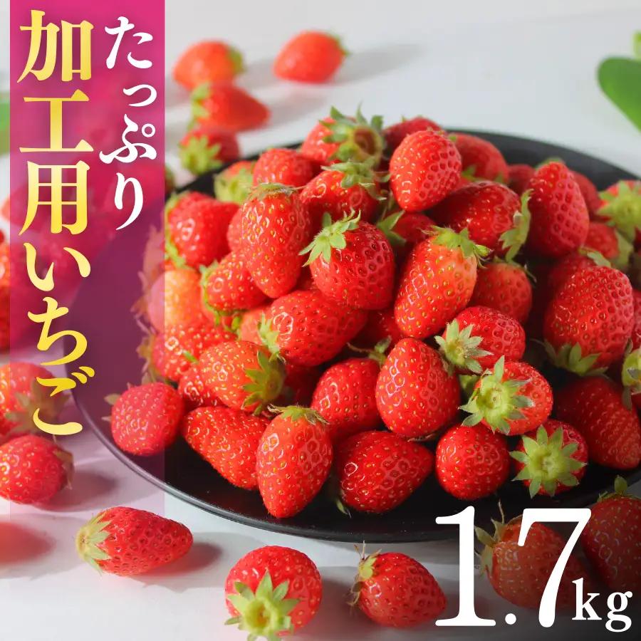 いちご【2027年発送】加工用いちご 1.7kg