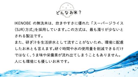 【 6ヶ月 連続配送 定期便 】《 食べ比べ セット 》 《 令和5年産 》 茨城県産 無洗米 コシヒカリ ・ ミルキークイーン 計 10kg ( 5kg × 2袋 ) こしひかり 米