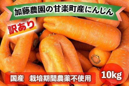 [産地直送！訳あり] 加藤農園の甘楽町産にんじん 10kg｜訳あり品 人参 ニンジン 野菜 キャロット 国産 新鮮 農家直送 産地直送 煮物 かき揚げ 甘楽町 数量限定 期間限定 [0318]