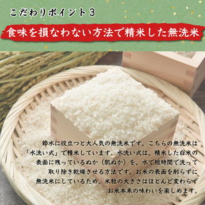 【ふるさと納税】令和6年産 福岡県産夢つくし無洗米25kg(5kg×5) [a7195] 株式会社 藤食糧 【返礼品】添田町 ふるさと納税