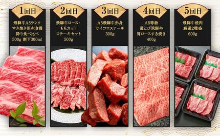 飛騨牛 定期便 全10回 牛肉 ( ステーキ / 焼肉 / しゃぶしゃぶ / すき焼き ) | 肉 食べ比べ A5 霜降り ロース もも サーロイン 岐阜 高山市 飛騨高山 岐阜県 人気 お楽しみ お