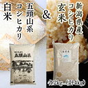 【ふるさと納税】【新米】 「米屋のこだわり阿賀野市産」 コシヒカリ 玄米 ＆ 白米 各2kg 計4kg セット