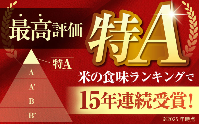 さがびより 無洗米 3kg（3kg×1袋）【五つ星お米マイスター厳選】特A米 特A評価 [HBL085]