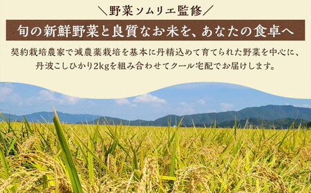 旬の野菜・コシヒカリ 詰め合わせセット 野菜 米 米 ●