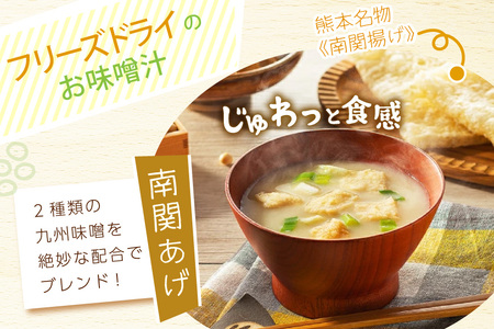 フリーズドライ業務用 南関あげの味噌汁15食と業務用 揚げなすの味噌汁15食 のセット BY003