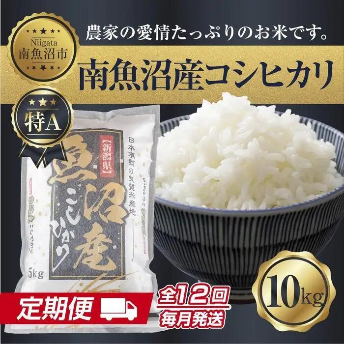 【定期便】 新潟県 南魚沼産 コシヒカリ お米 10kg×計12回 精米済み 年間 毎月発送 こしひかり（お米の美味しい炊き方ガイド付き）｜主食