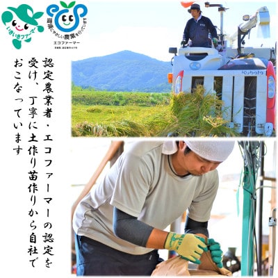 茨城県産ミルキークイーンほたる5kg【1342893】