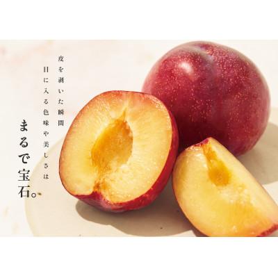 ふるさと納税 甲州市 <2026年先行受付>甲州市産 大玉 貴陽 8個(約2.1kg) |  | 01