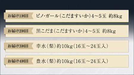 【 筑西ブランド 認証品 】 旬のフルーツ 定期便 ( 満足コース )  2026年産 先行予約 幸水 豊水 こだまスイカ 黒こだま ピノ・ガール 果物 フルーツ [AE012ci]