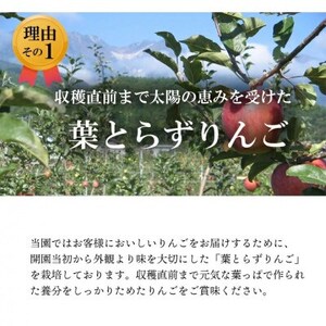 【南信州あじさい農園】葉とらずりんご(サンふじ)約3kg【1594213】