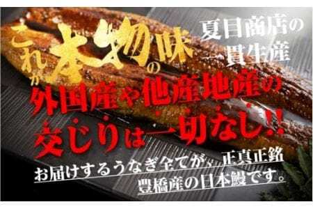 極上 豊橋うなぎ 蒲焼 きざみ 1kg 夏目商店                      