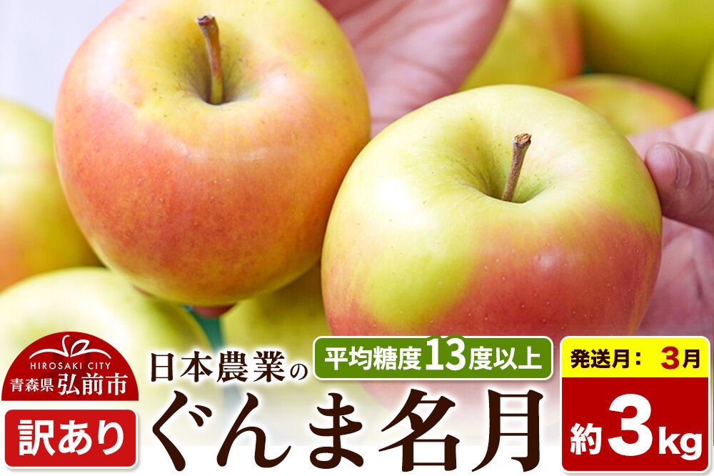 【27年3月クール便発送】りんご ぐんま名月【訳あり】約3kg 平均糖度13度以上 青森県 弘前市 果物 フルーツ 林檎 リンゴ くだもの 不揃い 規格外 [先行受付 家庭用 産地直送 アップル 青森県 弘前市]