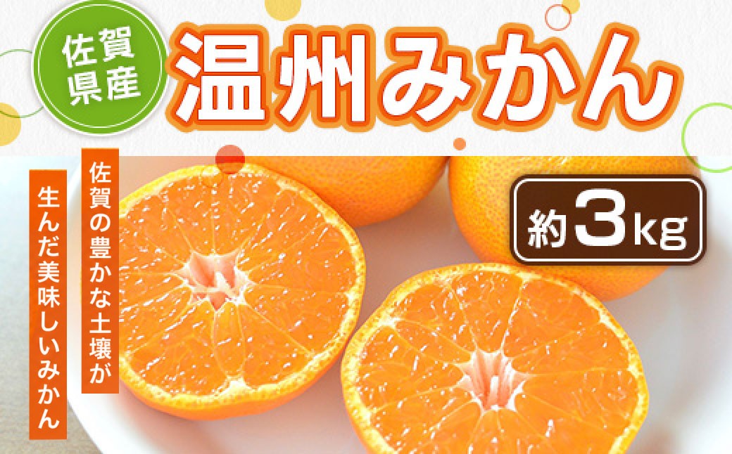 
                  【佐賀みかん】佐賀県産温州みかん 約3kg みかん ミカン 蜜柑 温州みかん 完熟みかん 佐賀県 太良町 NB48 【2027年1月上旬～1月下旬発送予定】
                