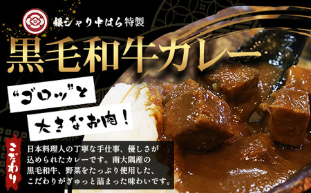 ［4種類］＼日本料理人の手作り／ 鹿児島県産 黒毛和牛レトルトパック 4種セット ≪合計8パック≫ GN-6｜鹿児島県 南大隅町 あたためるだけ 黒毛和牛 牛すじ 牛肉 カレー ビーフシチュー ミート