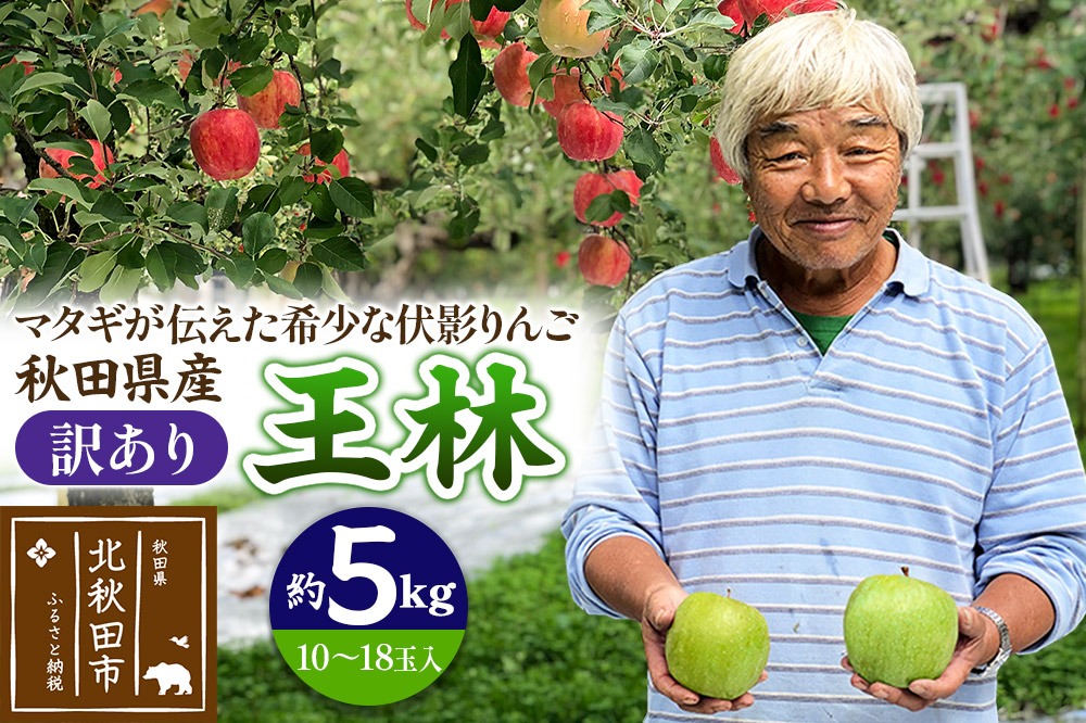 ＜先行予約＞りんご 王林（訳あり）約5kg (10～18玉入) 伊東さんの「伏影りんご」 令和7年産 秋田県産 個数限定 リンゴ マタギのりんご|itff-00006