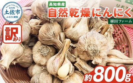 【先行予約】訳あり 植田ファームの自然乾燥にんにく800g〈2026年06月上旬から発送〉 800グラム ニンニク ガーリック お酒 料理 醤油漬け ガーリックオイル ペペロンチーノ パスタ スパゲッティ【株式会社　植田ファーム】[BQAT005]