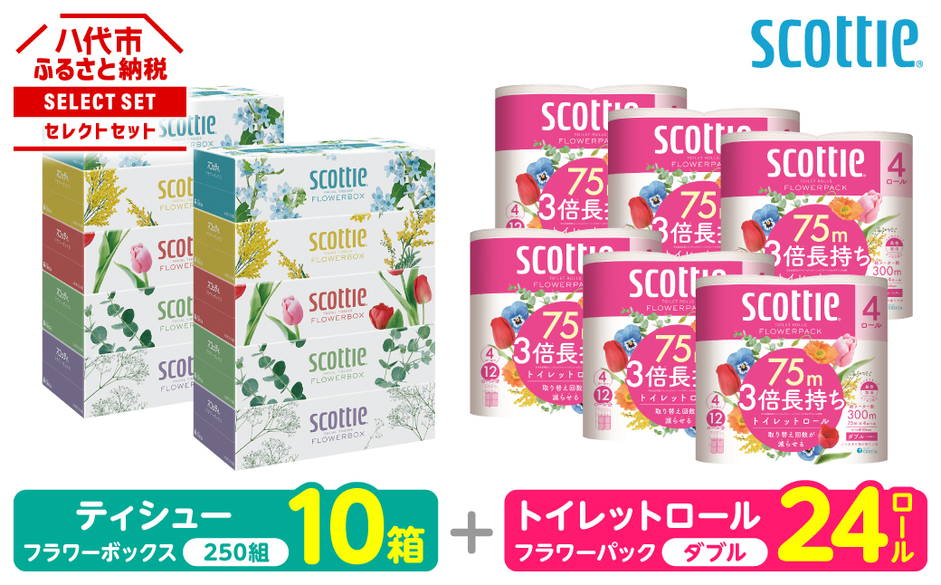 【スコッティ】 組み合わせ ティシュー フラワーボックス 250組 10箱 トイレットロール ダブル フラワーパック 3倍長持ち 24ロール ティッシュ トイレットペーパー 日用品 防災備蓄 ストック 備蓄 新生活 防災 消耗品 生活用品 日用消耗品 箱ティッシュ