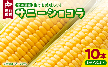 とうもろこし サニーショコラ Lサイズ 10本 とうもろこし とうもろこし 2026年8月発送 北海道産 とうきび トウモロコシ