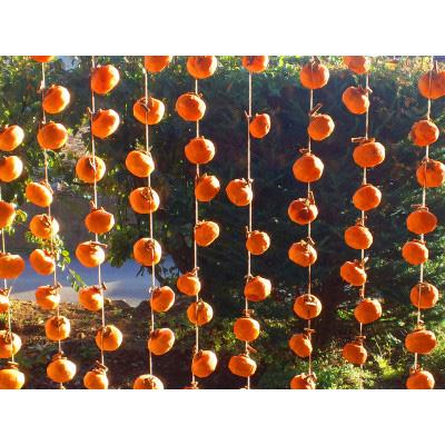 ふるさと納税 那智勝浦町 吊るし柿用 生渋柿 ひもセット【 T字軸枝付 or吊しクリップ付】 約50〜90果14.5〜15kg |  | 01