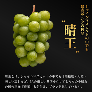 ぶどう 2024年 先行予約 ご家庭用 シャイン マスカット 晴王 優品 2房入り（1房 530g以上 露地栽培） ブドウ 葡萄  岡山県産 国産 フルーツ 果物