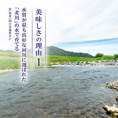 ふるさと納税 若狭町 【令和8年産先行受付】福井県若狭町 つきあかり(1等米)　20kg(5kg×4袋) |  | 01