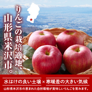 【先行予約】 令和8年産 りんご 品種お任せ 秀品 約2kg 5玉 ～ 8玉 中生種 涼香の季節 昂林 など 2026年10月上旬～下旬頃 お届け予定 山形県 米沢市