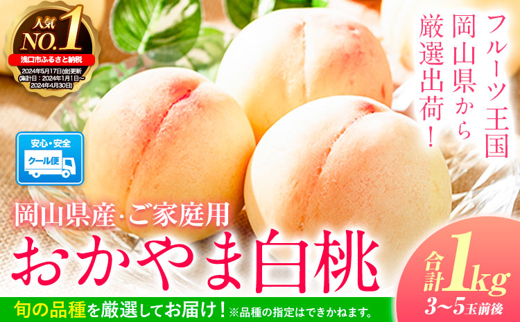 桃 もも 【2025年先行予約】おかやま白桃 1kg 3~5玉 岡山県産 ご家庭用 桃 もも 桃 白桃 桃 岡山白桃 桃 桃 白桃 桃 桃 岡山 桃 桃 ---124_c366_6g9j_23_9500_10---｜フルーツフルーツフルーツフルーツフルーツフルーツフルーツフルーツフルーツフルーツフルーツフルーツフルーツフルーツフルーツフルーツフルーツフルーツフルーツ 桃 桃 桃 桃 桃 桃 桃 桃 桃 桃 桃 桃 桃 桃 桃 桃 桃 桃 桃 桃 桃 桃 桃 桃 桃 桃 桃 桃 桃