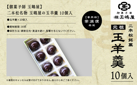 羊羹 玉嶋屋の玉羊羹 10個入り ようかん【株式会社玉嶋屋】