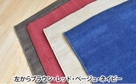洗える ペット用 吸着マット【レッド】消臭 2枚入り 滑りにくい 何度でも