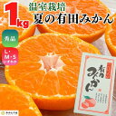 【ふるさと納税】【5月下旬出荷予定】ハウスみかん 温室栽培 夏の有田みかん 1kg 秀品 S・M・Lサイズのいずれか 和歌山県 産地直送 みかんの会 | 有田みかん みかん ハウス 秀品 フルーツ お取り寄せ