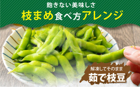 【6ヶ月定期便】そのまま枝豆 約300g×6袋 計約10.8kg 枝豆 えだ豆 えだまめ エダマメ おつまみ おやつ 定期便 6回 国産 冷凍 [018-0064x1]