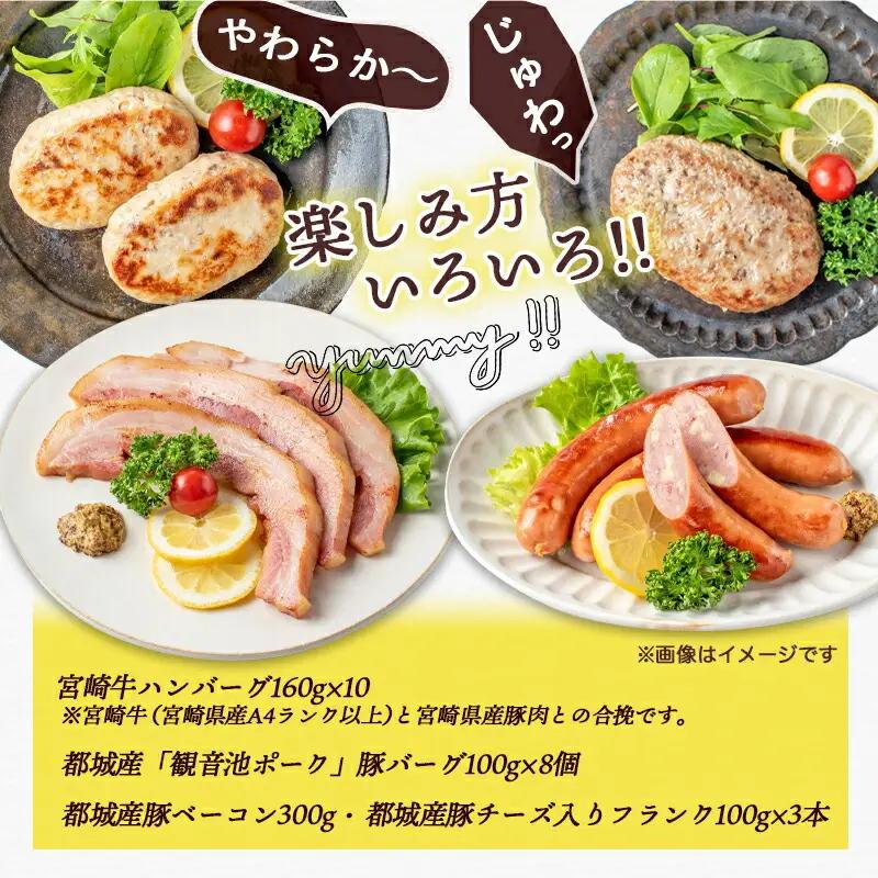 宮崎牛合挽ハンバーグとバラエティ3kgセット〔17-1507〕_(都城市) ジューシーな合挽ハンバーグ(160g×10) ブランドポーク 観音池ポークの豚バーグ(100g×8個) トンバーグ ベーコン