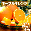 【ふるさと納税】【先行予約】ネーブルオレンジ【選べる容量2kg 5kg】※2025年3月上旬以降随時発送予定 / 田辺市 和歌山 みかん ミカン 柑橘 温州みかん フルーツ オレンジ ネーブル