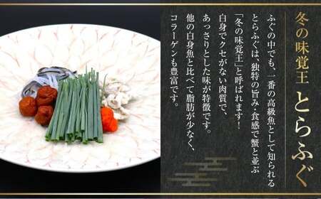 【2025年12月30日着】 長崎とらふぐ刺身 4人前 ／ とらふぐ ふぐ フグ 刺身 刺し身 魚 さかな 高級魚 セット 産地直送 九州 長崎県産 長崎県 長崎市 冷蔵
