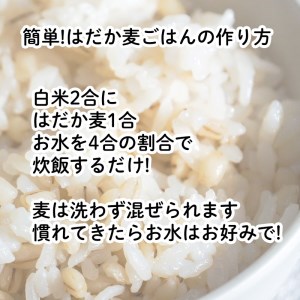 はだか麦 900g × 5 はだか 麦