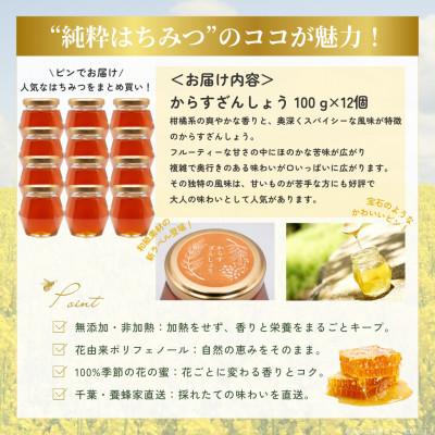 ふるさと納税 大網白里市 千葉県産「純粋はちみつ」からすざんしょう【計1.2kg】100g×12個 |  | 03
