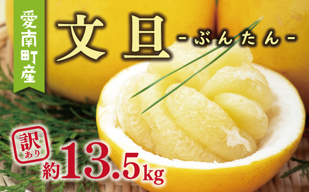 訳あり 文旦 13.5kg ぶんたん みかん わけあり ミッチーのおみかん畑