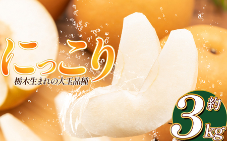 【数量限定！】【今季出荷分！】にっこり 梨 3kg | 2025年産 | 栃木県 下野市