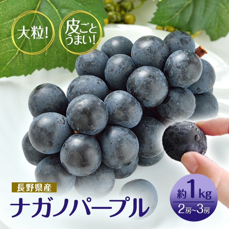 【ふるさと納税】廃盤　長野市産ナガノパープル 皮ごとうまい！大粒2～4房(約1.2kg)さらしな青果※配送不可地域あり 　お届け：2025年9月上旬～9月下旬
