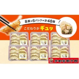 「宇都宮餃子館」の ニンニク餃子 8個入り×6パック(計48個) ｜ 餃子 冷凍 ぎょうざ 栃木県 宇都宮市