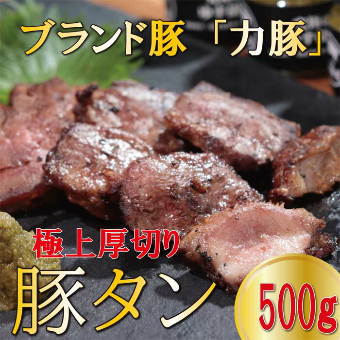 【ふるさと納税】国産 豚肉 豚タン 500g ブランド豚 力豚 厚切りスリット入り｜りきぶた タン 柔らかい 焼肉 焼肉用 BBQ バーベキュー ご当地グルメ 真空パック 冷凍 おつまみ 晩酌 ホルモン お取り寄せ グルメ ギフト 贈答用 高知県 大月町産