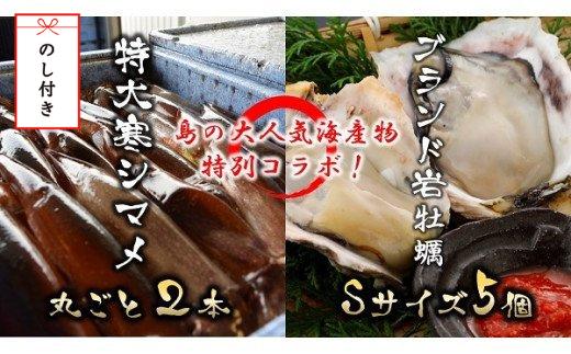 
【のし付き】島の海の幸コラボ 朝どれ寒シマメ特大サイズ（350-400g）丸ごと2杯とブランド岩牡蠣Sサイズ5個セット
