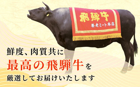 飛騨牛 モモブロック 300g 牛肉 和牛 肉 ローストビーフ 焼肉 ステーキ 赤身 東白川村 岐阜 贅沢 モモ もも肉 養老ミート