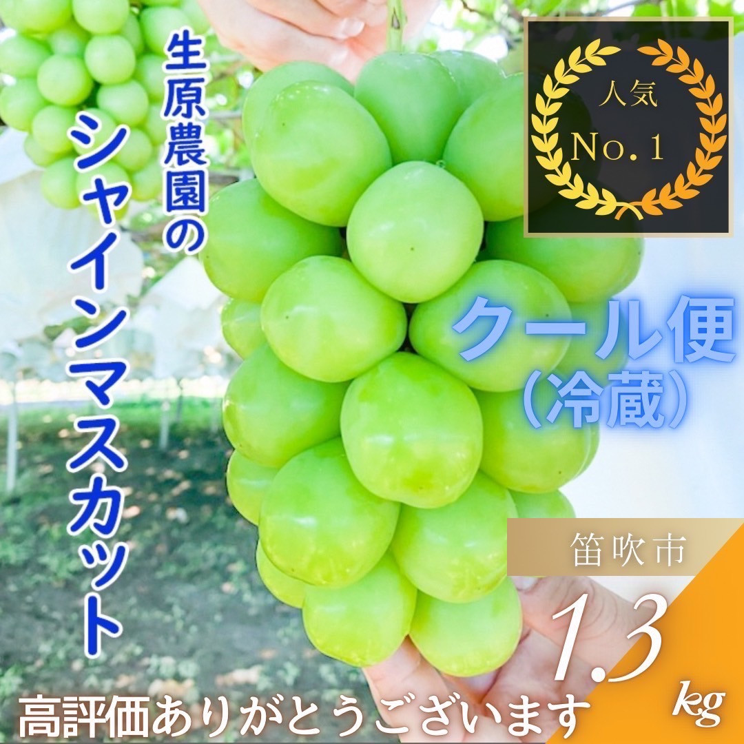 
            【期間限定】【数量限定】＜2025年発送＞フルーツ王国笛吹市の【大粒】シャインマスカット2房1.3㎏以上 137-001   山梨 笛吹市 山梨県産 シャインマスカット 高レビュー 数量限定 冷蔵配送 クール便
          