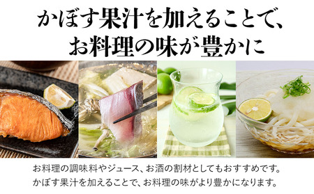 天然 かぼす 果汁 1L×1本 | かぼす 絞汁 津久見市