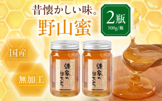 蜂家厳選！はちみつ 野山蜜 500g（瓶）×2本　《喜茂別町》【Beemonte】はちみつ 蜂蜜 ハチミツ 国産はちみつ ハニー [AJAS005] 20000 20000円