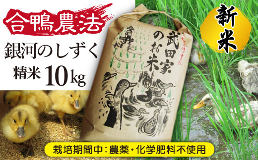 
《令和６年産》新米 武田家のお米 銀河のしずく（精米）10kg＜合鴨農法＞【米農家 仁左ェ門】 / 米 白米 ５キロ ２袋 アイガモ
